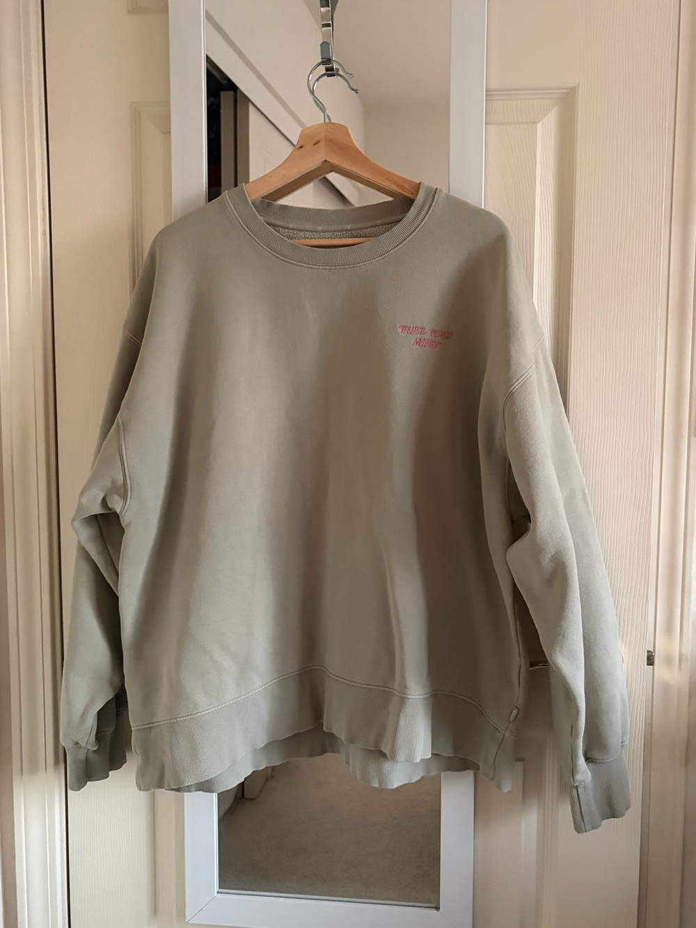 Aritzia Healing Mushroom Sweater